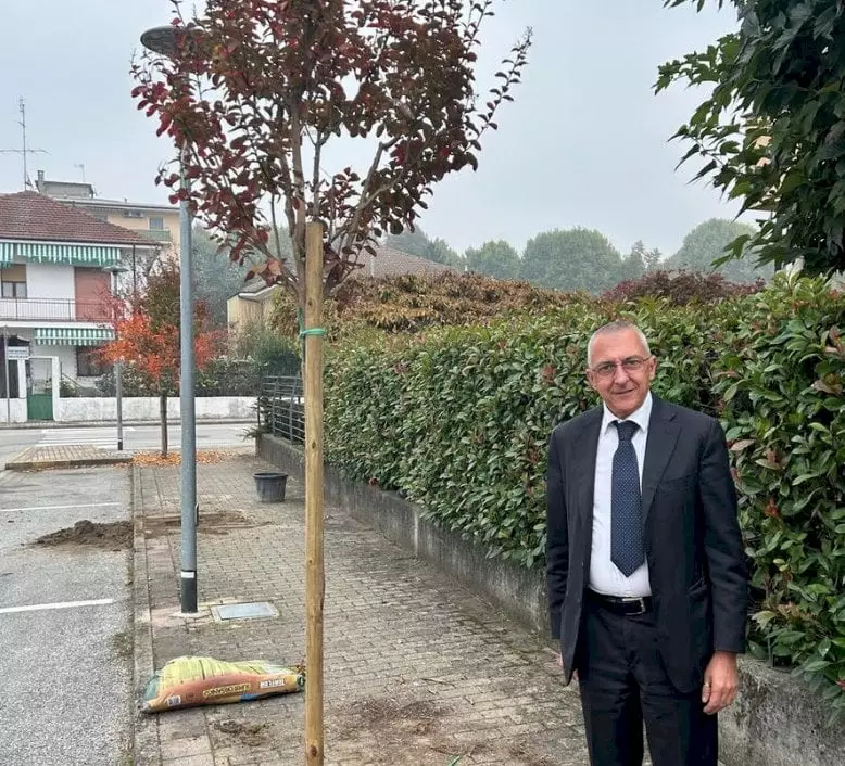 alberi